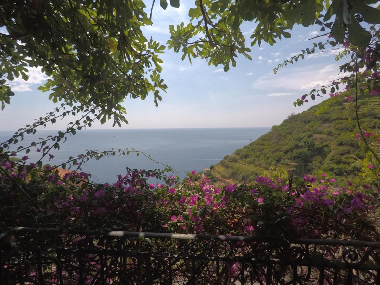 Cinqueterre Holidays Hotel Riomaggiore Exterior photo