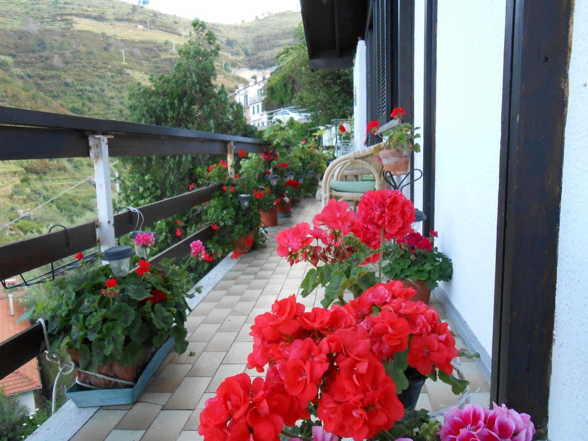 Cinqueterre Holidays Hotel Riomaggiore Exterior photo