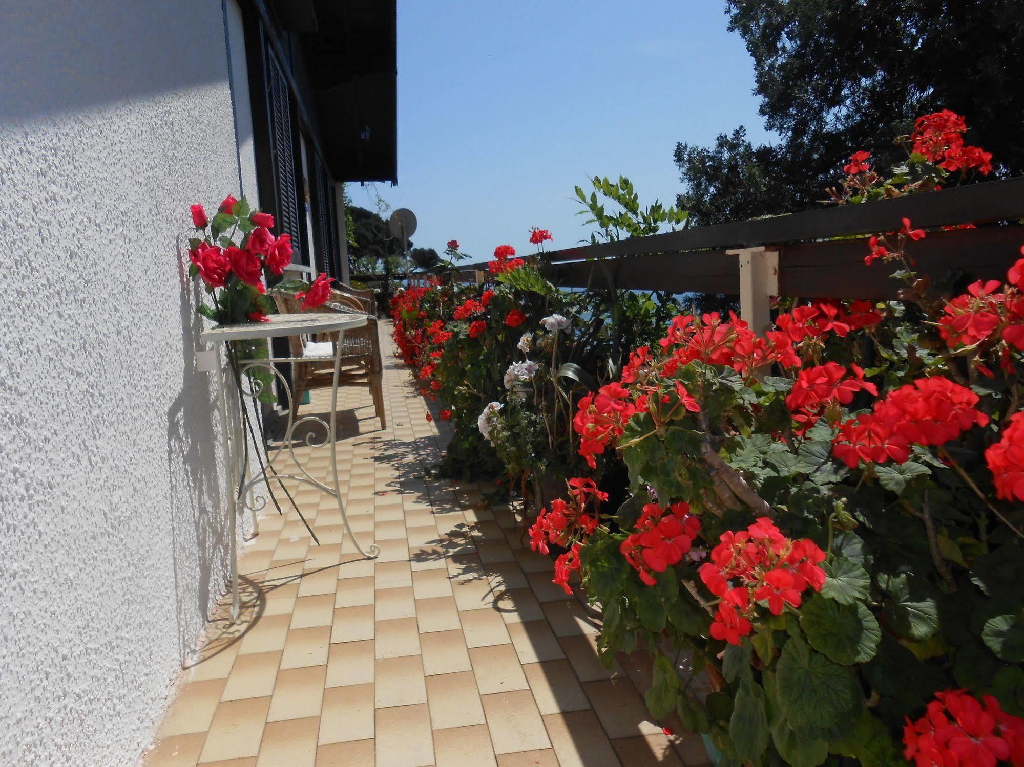 Cinqueterre Holidays Hotel Riomaggiore Exterior photo